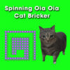 spinning uia uia cat bricker