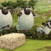 shaun the sheep shear speed